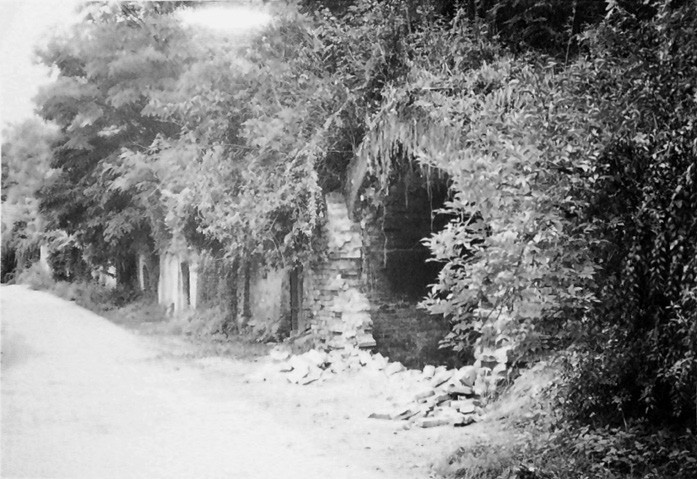 Historické vinné sklepy ve Strachotíně; rodinný archiv Wenischových, 70. léta 20. století