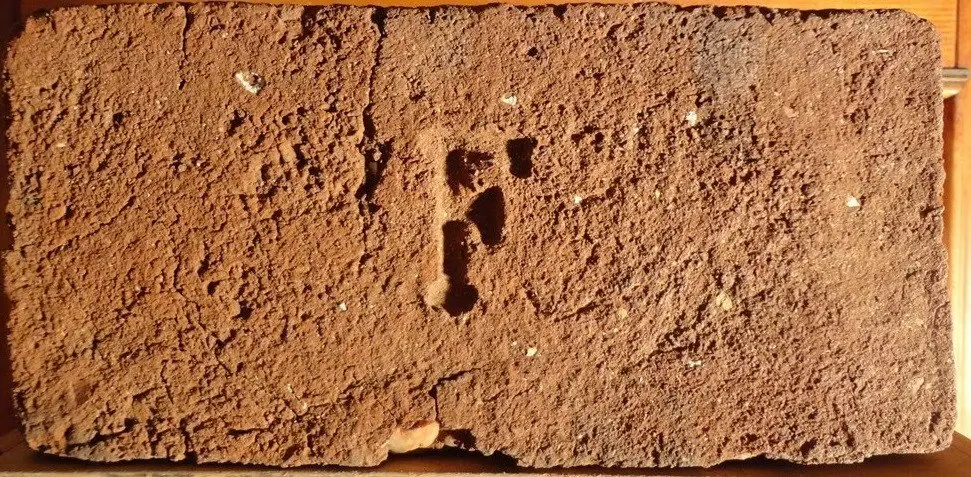 F – fotografie 1