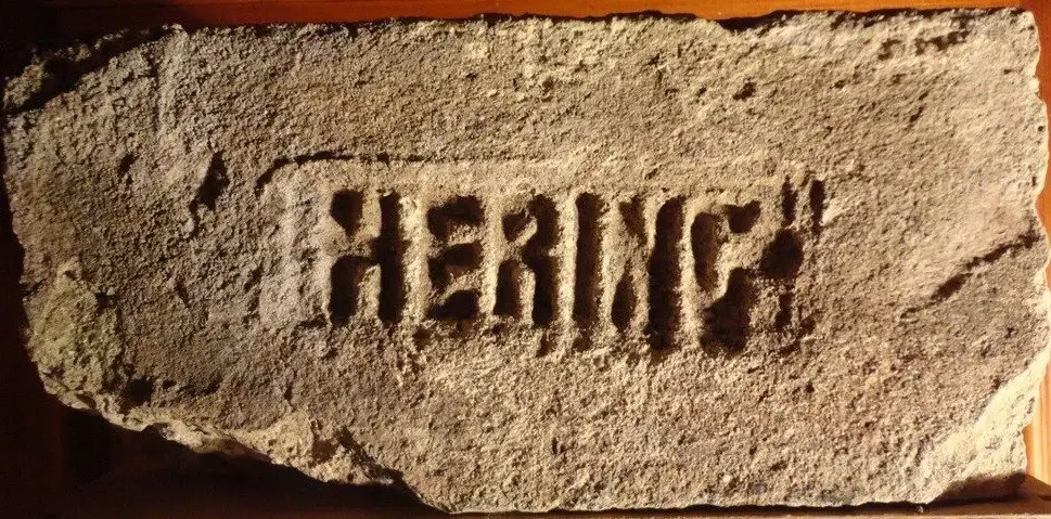HERING – fotografie 1