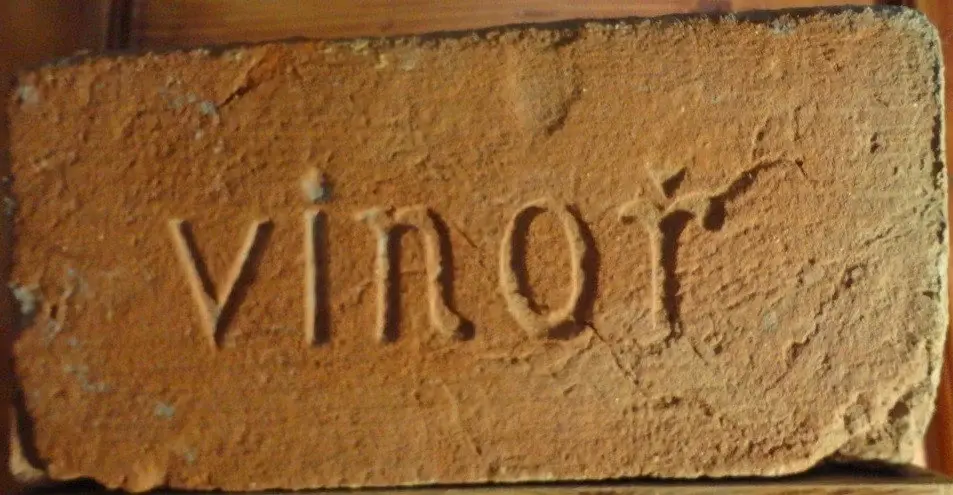 vinoř – fotografie 1