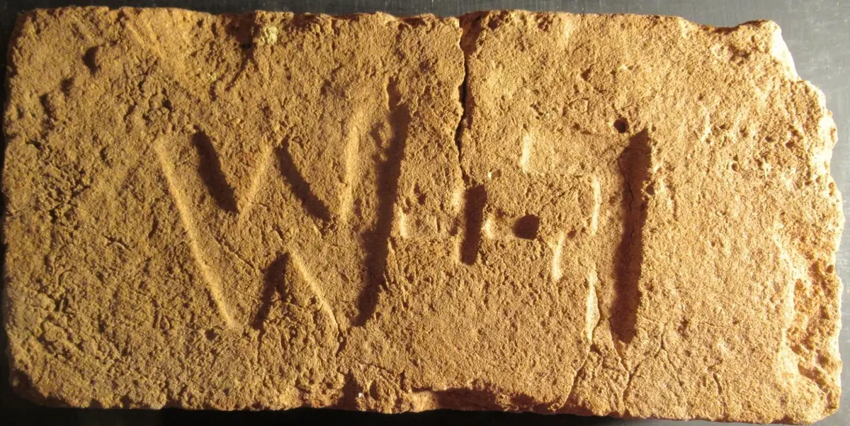W F – fotografie 1