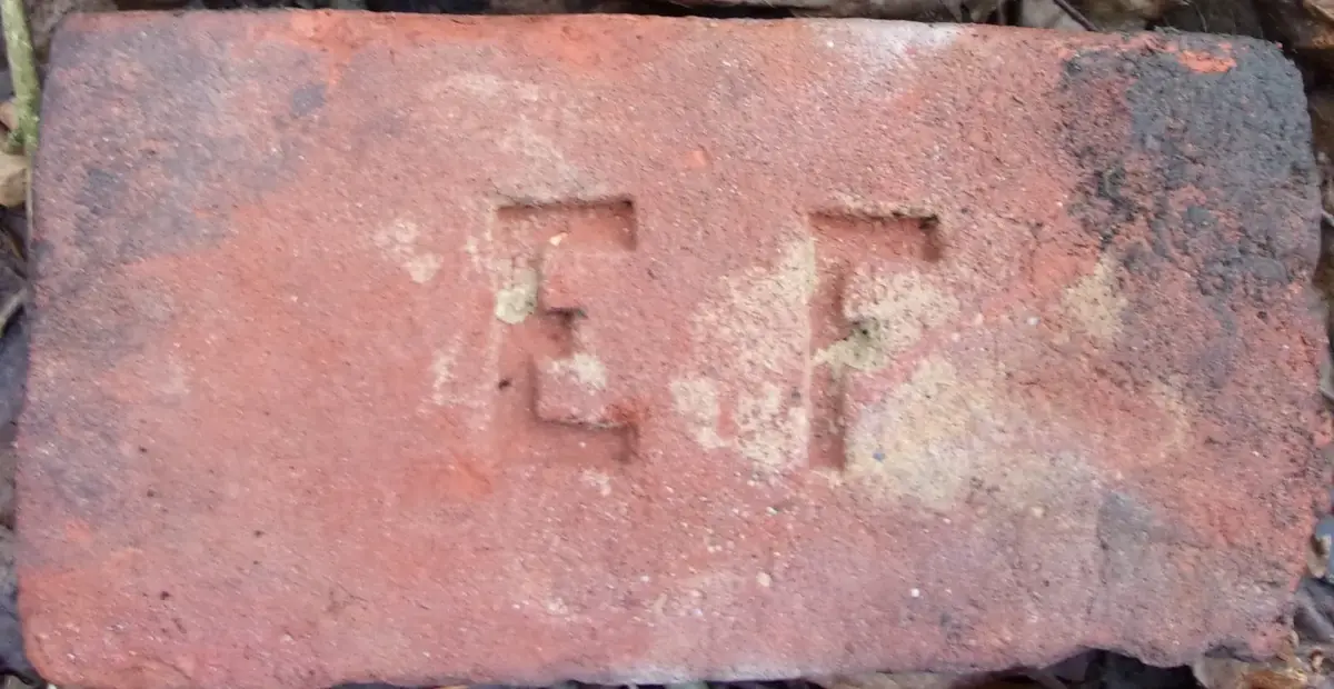 E F – fotografie 1