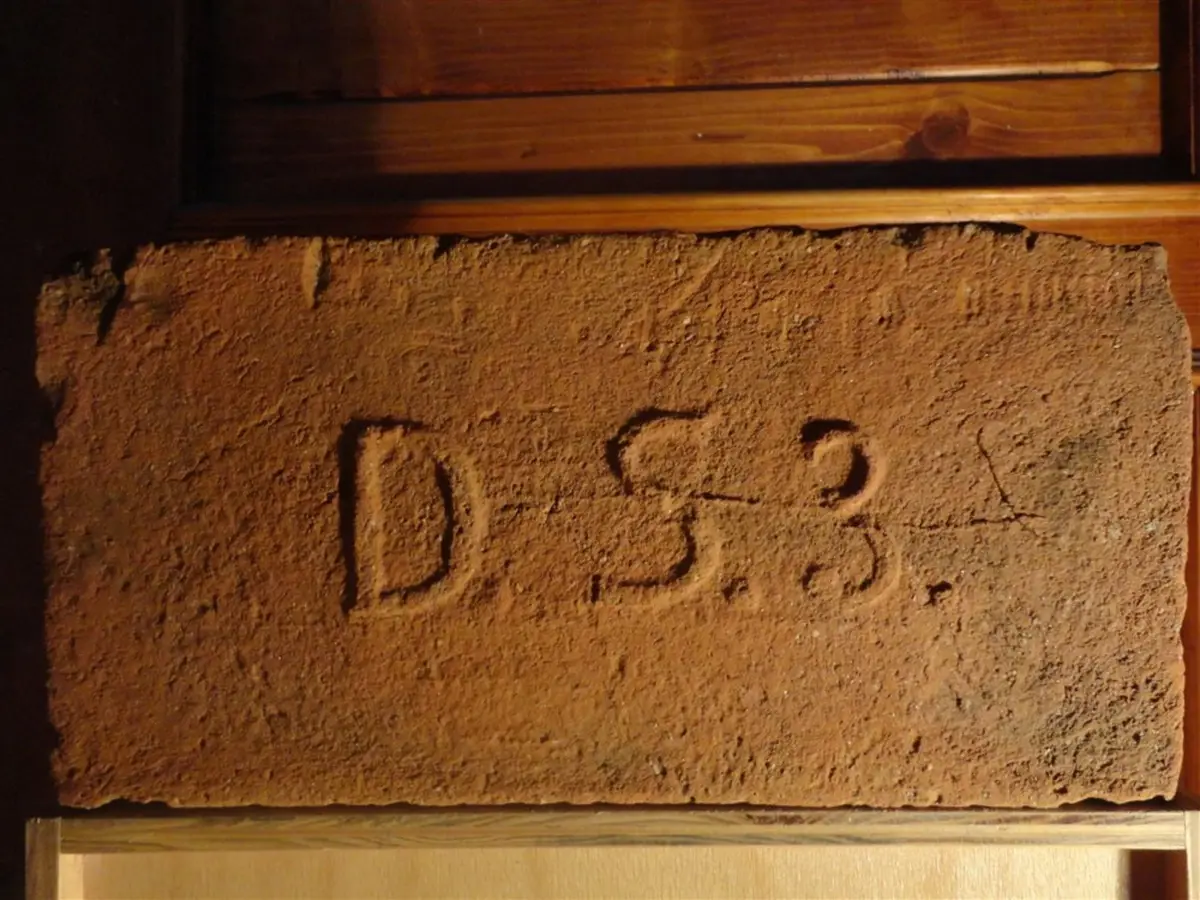D.S.3. – fotografie 1