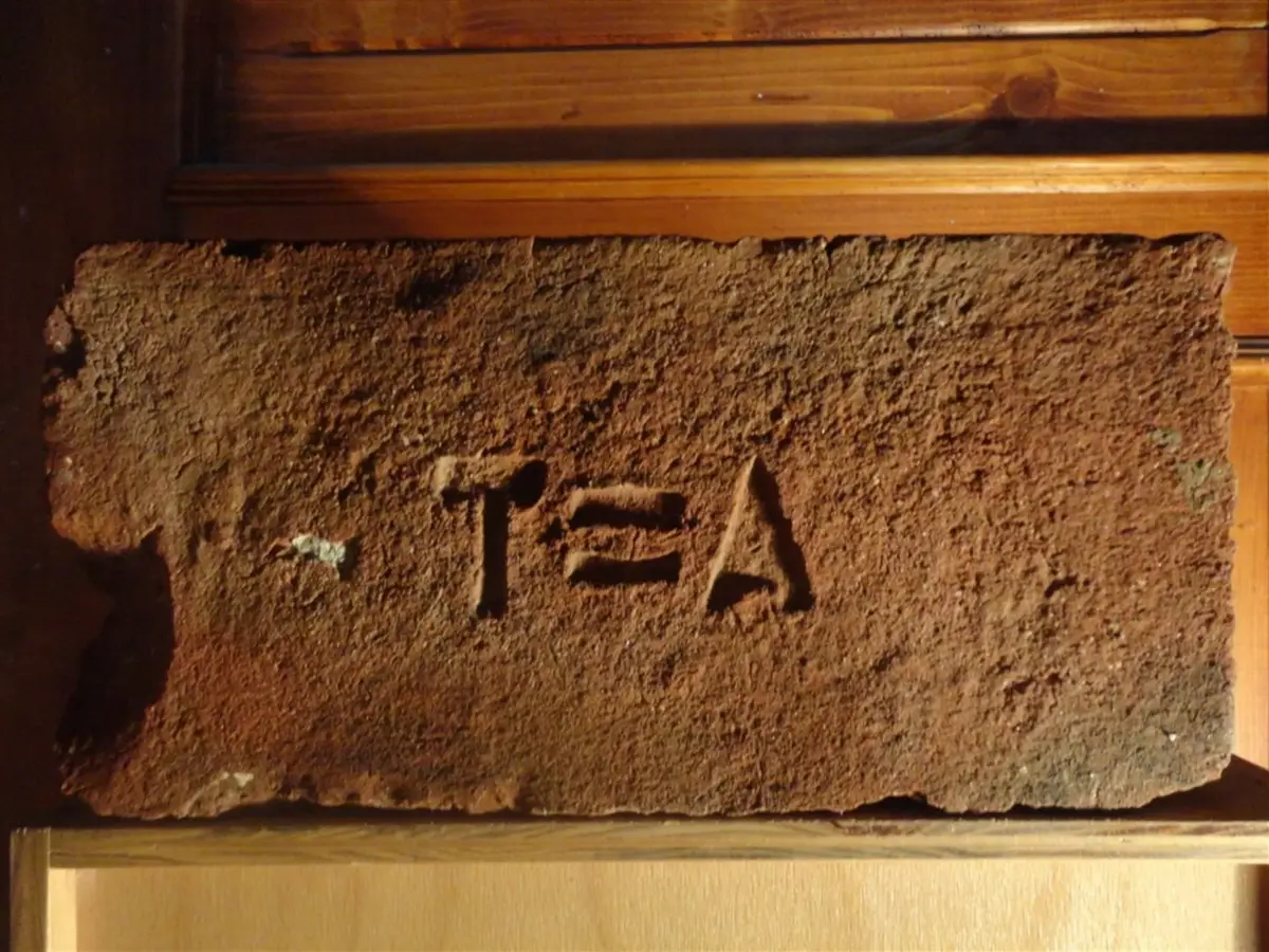 T=A – fotografie 1