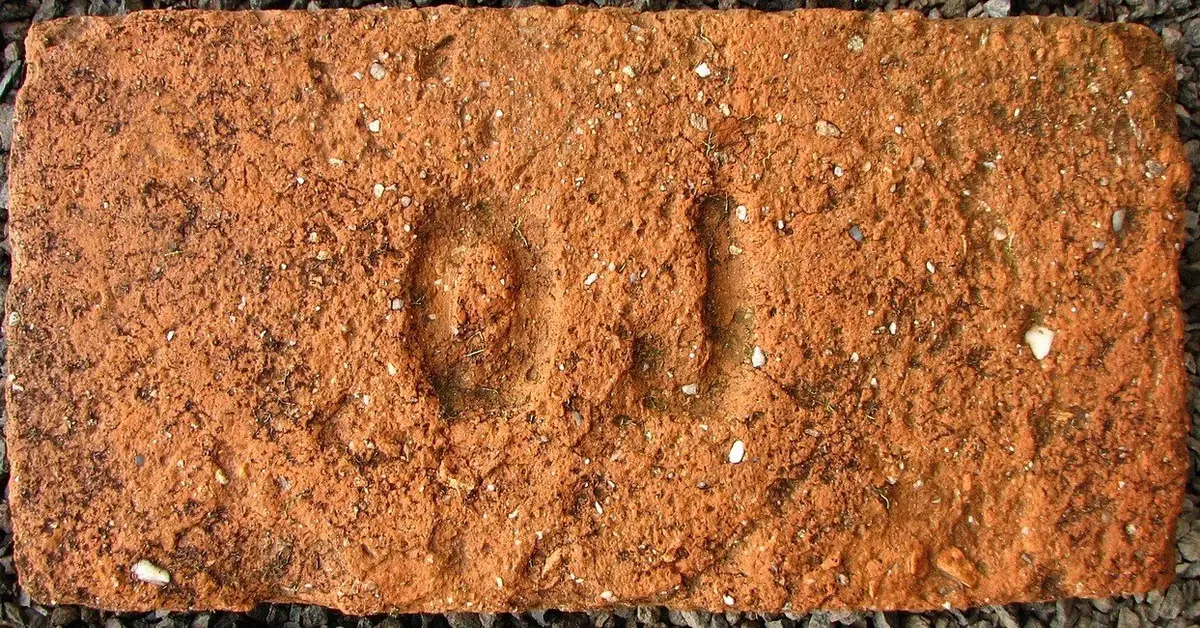 OJ – fotografie 1