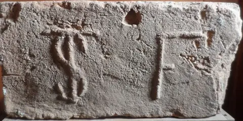 Značka TS F
