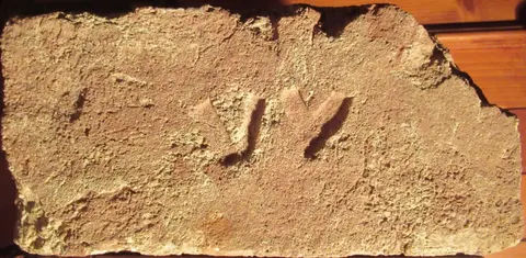 Značka VV